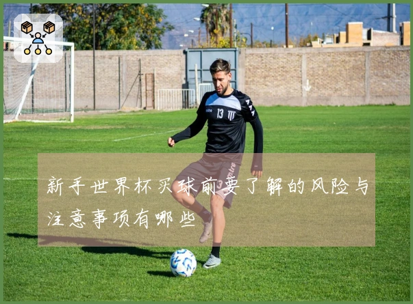 新手世界杯买球前要了解的风险与注意事项有哪些