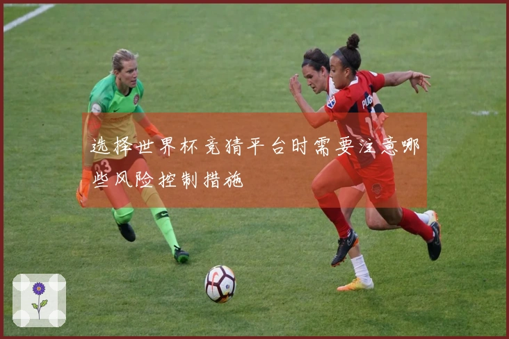 选择世界杯竞猜平台时需要注意哪些风险控制措施