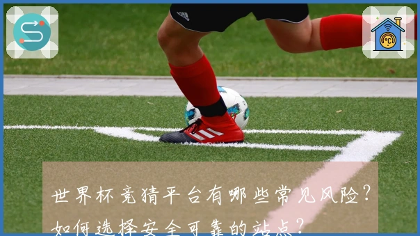 世界杯竞猜平台有哪些常见风险？如何选择安全可靠的站点？