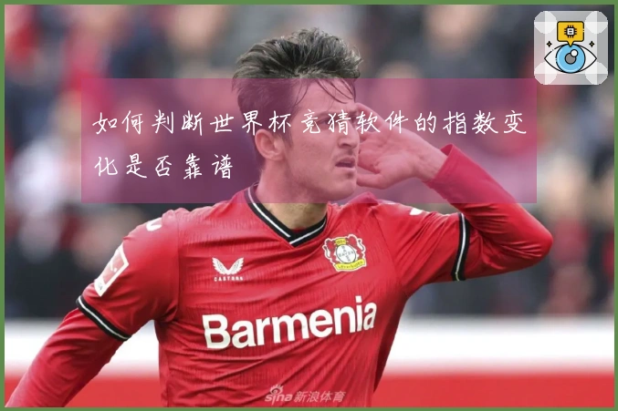 如何判断世界杯竞猜软件的指数变化是否靠谱