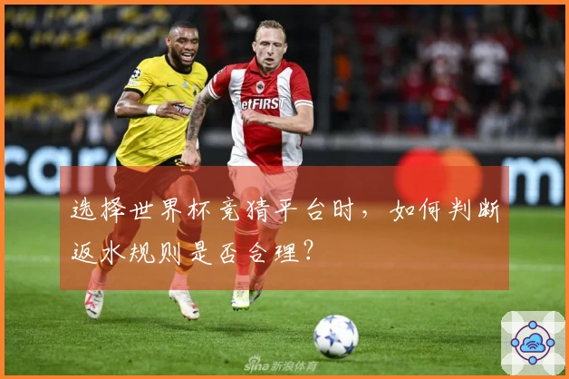 选择世界杯竞猜平台时，如何判断返水规则是否合理？