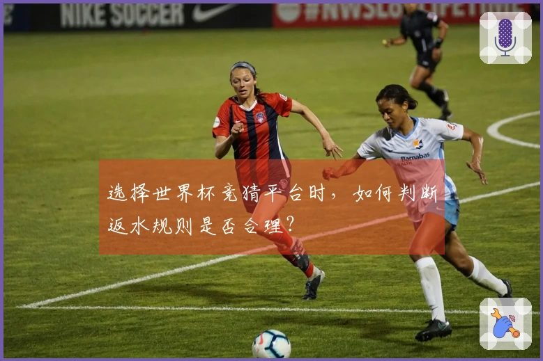 选择世界杯竞猜平台时，如何判断返水规则是否合理？