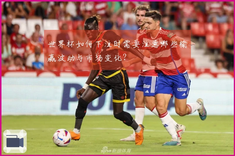 世界杯如何下注时需要注意哪些输赢波动与市场变化？