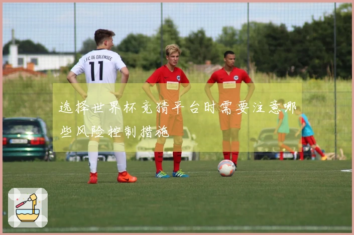 选择世界杯竞猜平台时需要注意哪些风险控制措施