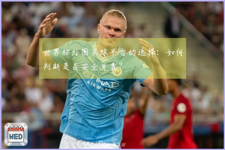 世界杯外围买球平台的选择：如何判断是否安全可靠？